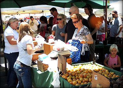 Happy customers finding great fresh fruits at one of the Allard Farm stands near Stockton, California