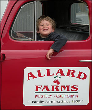 Guy Jr. jumps in the famous Allard Farms red truck for a photo at one of our farm stands.